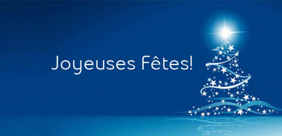 Joyeuses fêtes & Meilleurs voeux